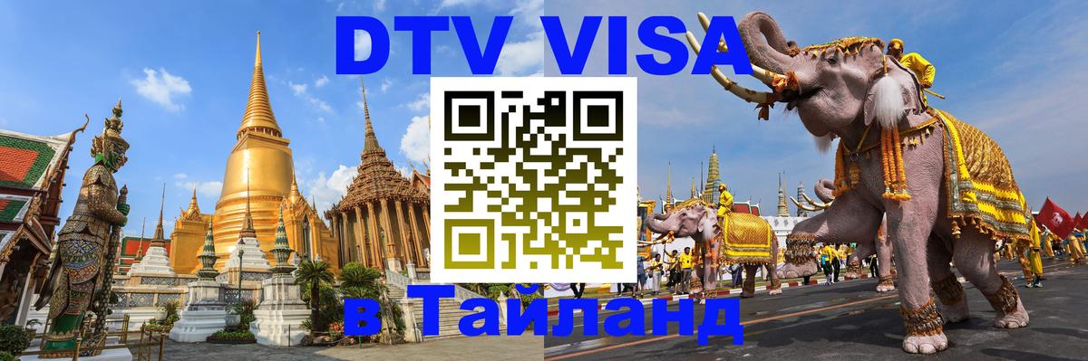 Оформление DTV визы под ключ: стоимость и тарифы, только загранпаспорт - 